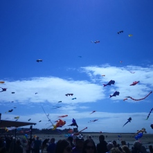 More kites in a cold year.